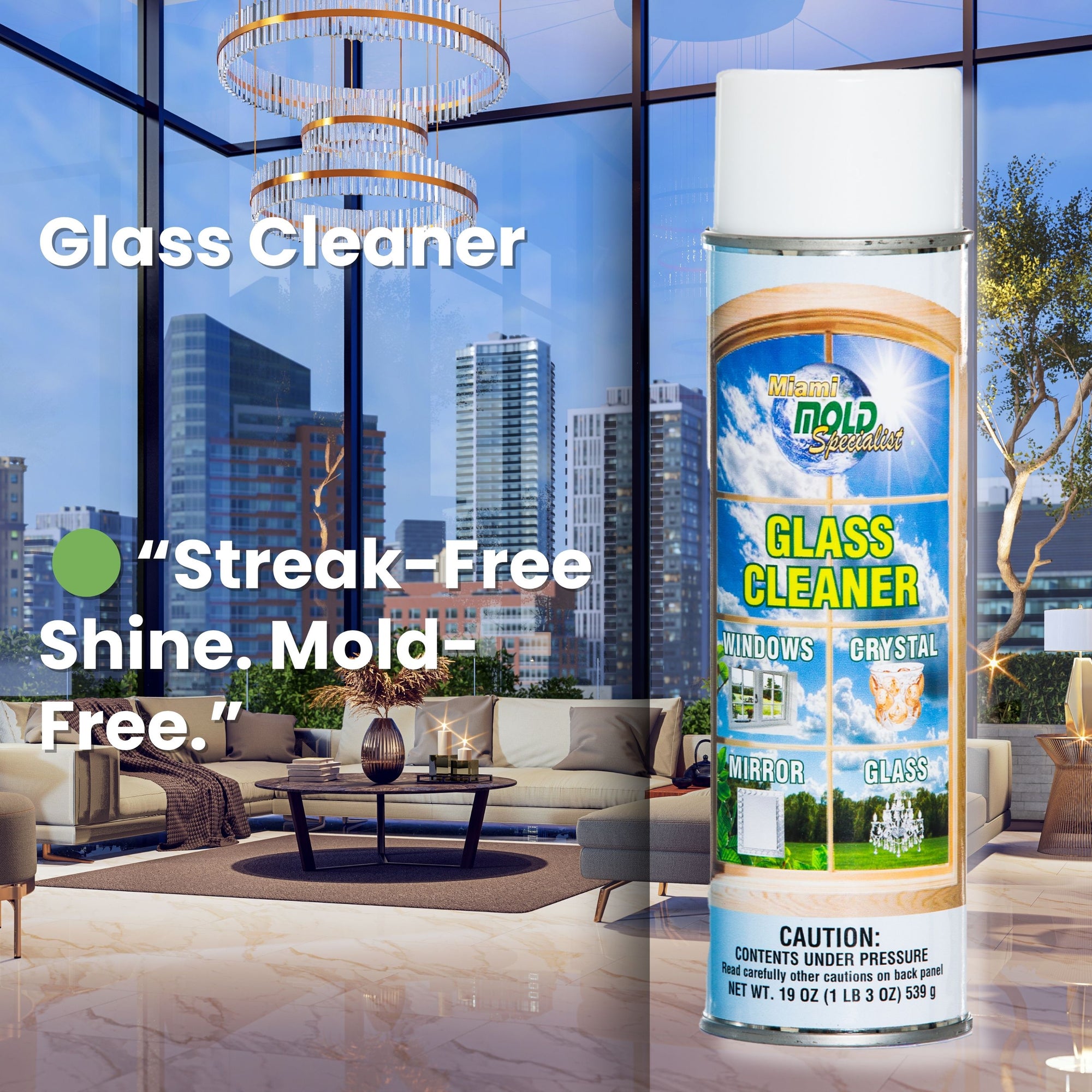Miami Mold Specialist Glass Cleaner – 19 oz
