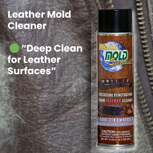 Miami Mold Specialist  Penetrating Leather Mold Cleaner Foam | 19 oz Spray