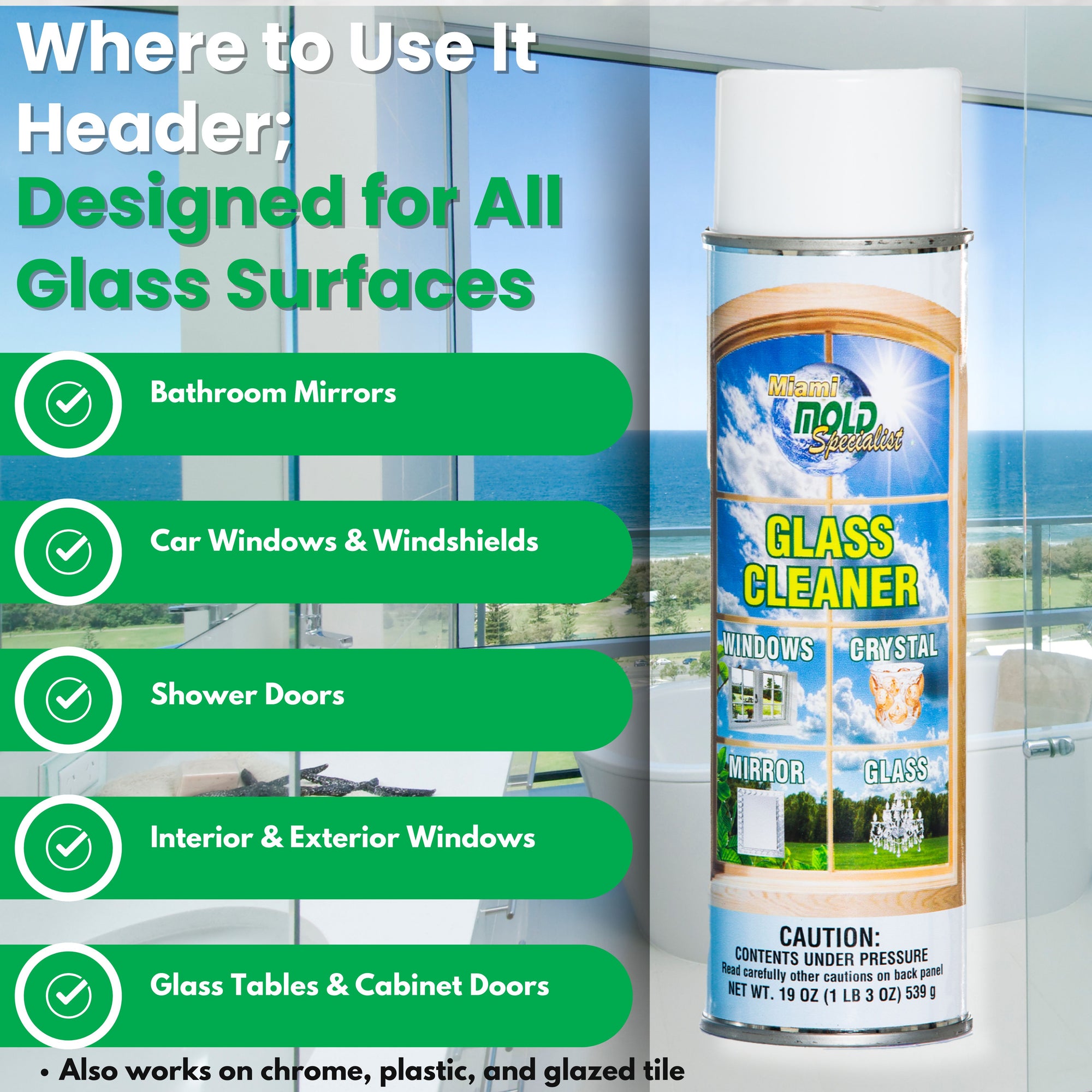 Miami Mold Specialist Glass Cleaner – 19 oz