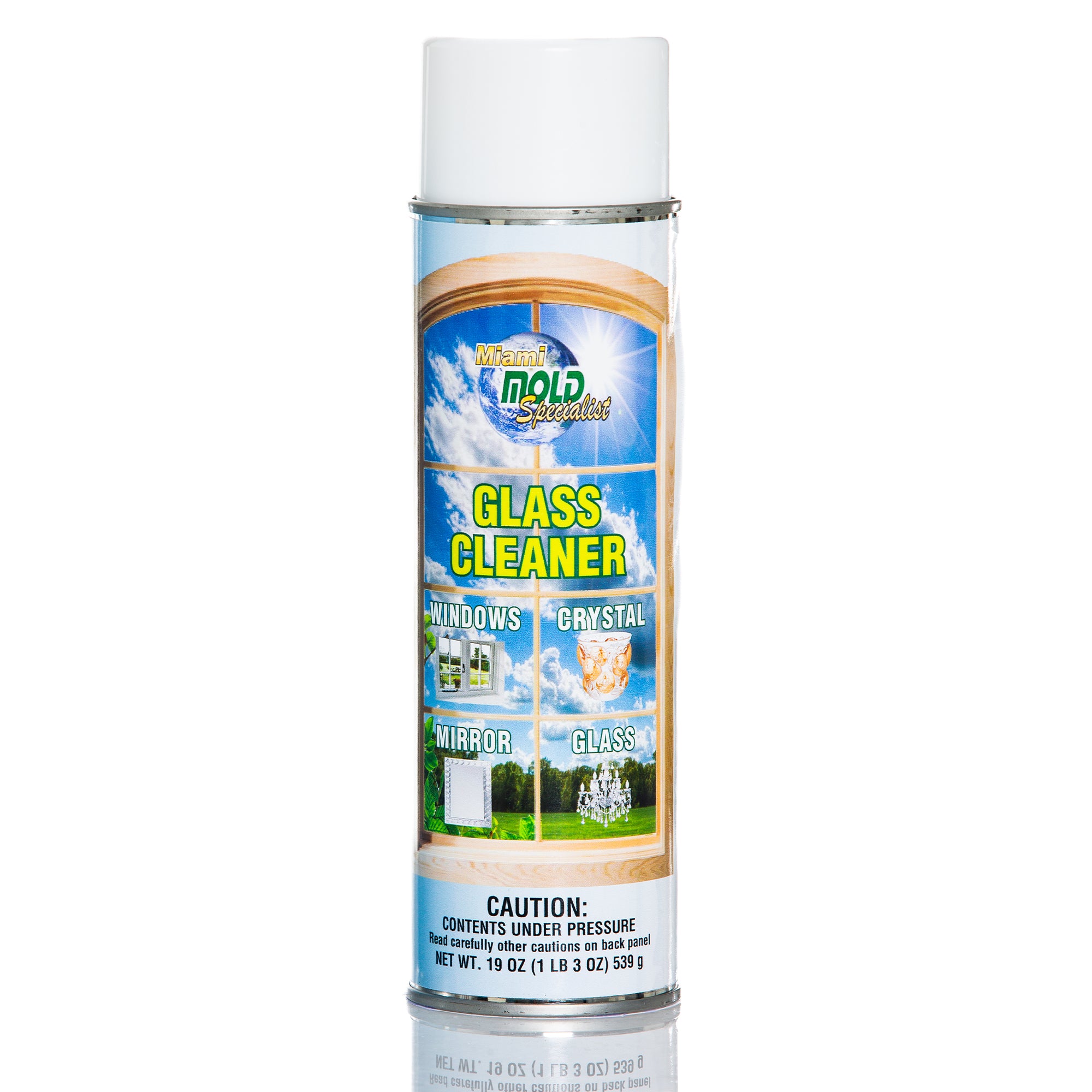 Miami Mold Specialist Glass Cleaner – 19 oz
